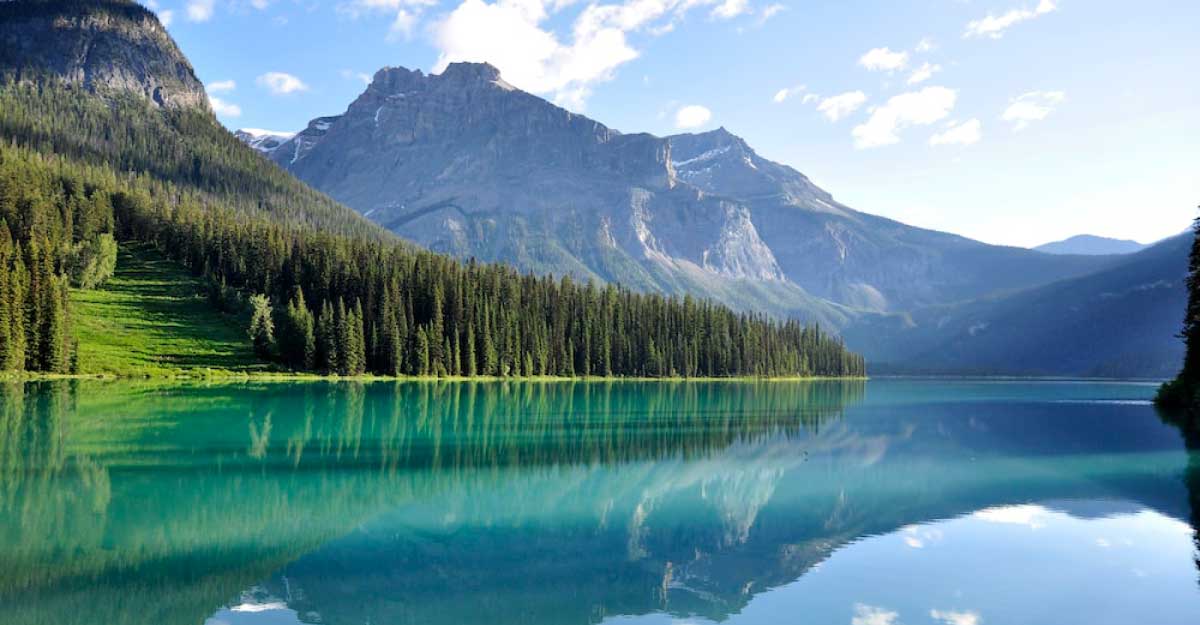 <span>নিউজ  ফোর / </span>প্রাইম আইটি ওয়ার্ল্ড নিউজ-২৫ ডেমো নিউজ  ফোর