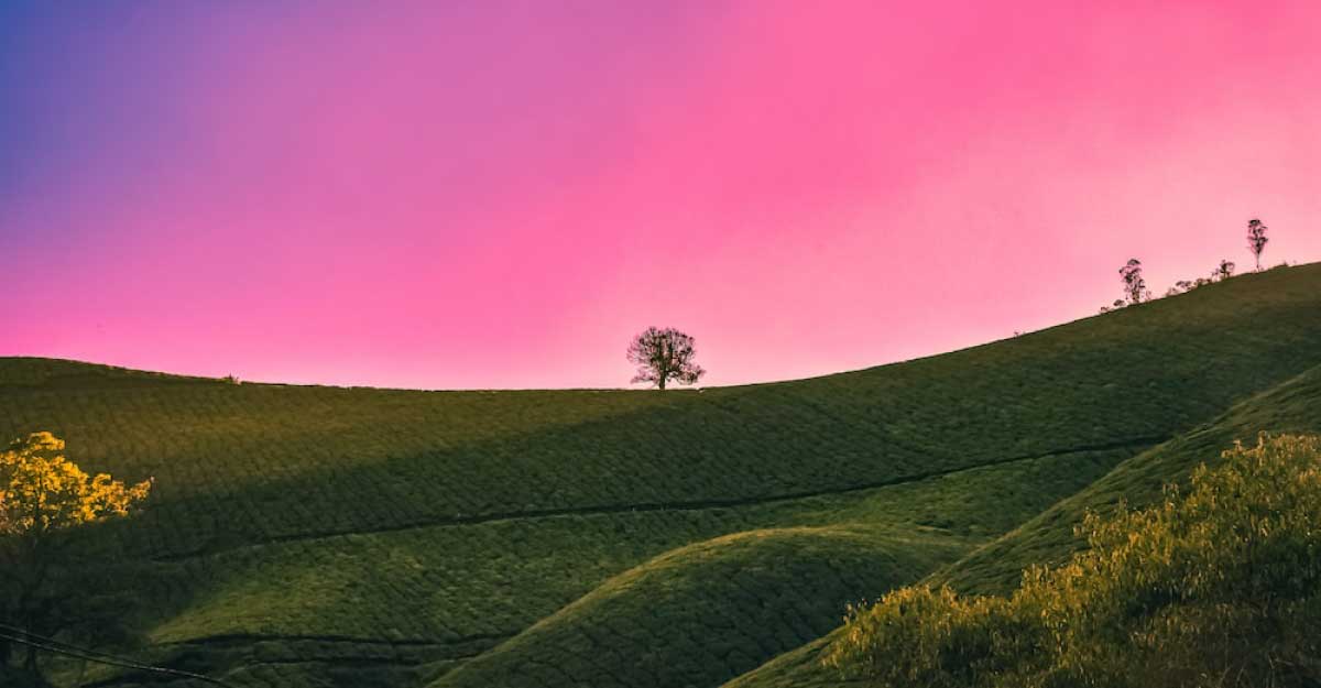 প্রাইম আইটি ওয়ার্ল্ড নিউজ-২৫ ডেমো নিউজ  থ্রী